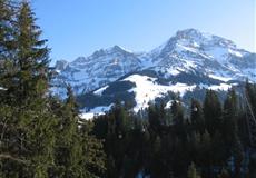 adelboden - 2008