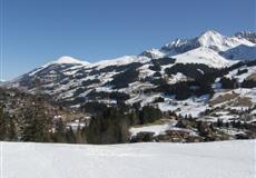 adelboden - 2008