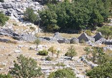 Chorvatsko - dovča 2010