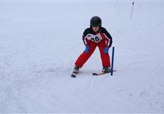 Závody lyžařská školička Ski-instruktoři + rozlučková akce Pernink