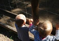 zoo Plzeň (září)