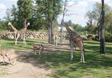 zoo Plzeň (září)