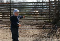 ZOO s Kačenkou, Ninuškou a Nelinkou - březen 2014