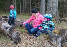 ŠUMAVA - ČESKÉ ŽLEBY