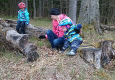 ŠUMAVA - ČESKÉ ŽLEBY