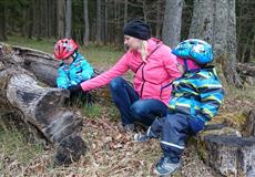 ŠUMAVA - ČESKÉ ŽLEBY