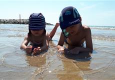 Dovča Lido di Jesolo - Cavallino 2018