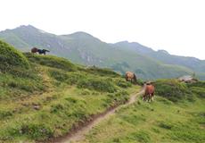 Bad Hofgastein 2019