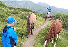 Bad Hofgastein 2019