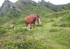 Bad Hofgastein 2019