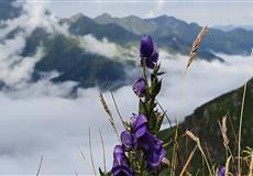 Bad Hofgastein 2019