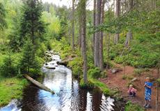 Šumava - JAVORNÍK 2020