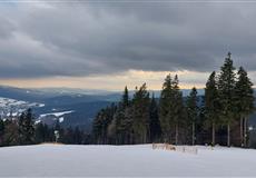 JARŇÁKY 2022 Šumava