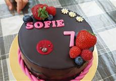 Sofi 7.narozeniny